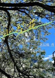 西兰花喜阳还是喜阴